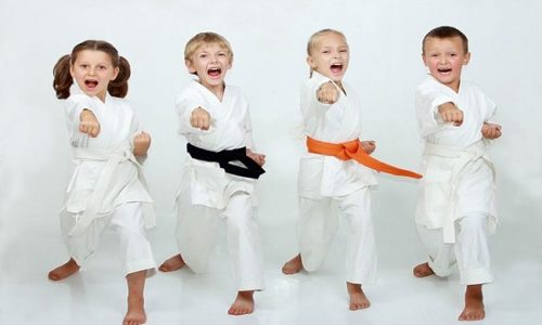 Dạy võ trực tuyến: Karate dành cho trẻ em