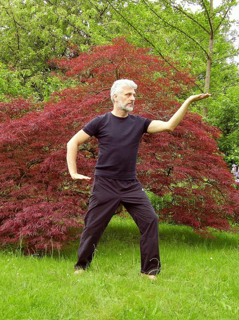 tai chi, taiji, qigong