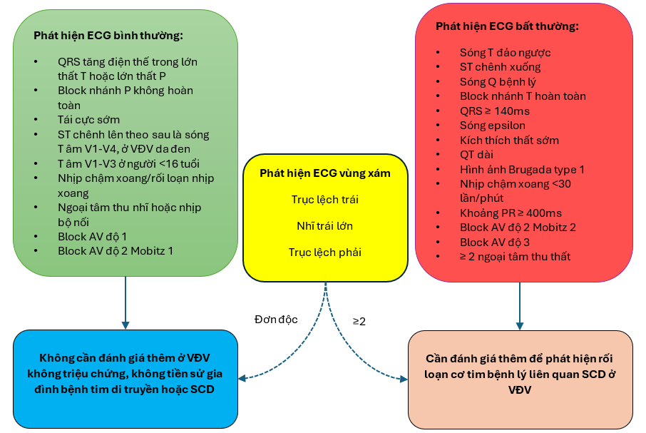 ĐỘT TỬ DO TIM Ở VẬN ĐỘNG VIÊN - Hội Y Học Thể Thao